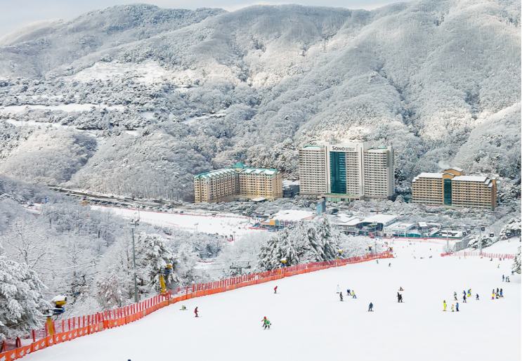 스키장 개장일정