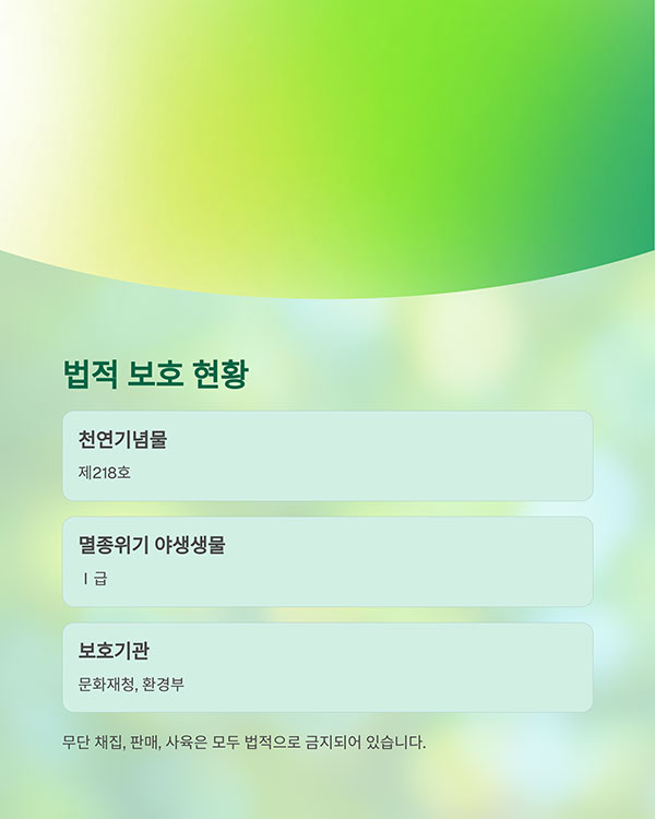 보호 필요성과 법적 지위