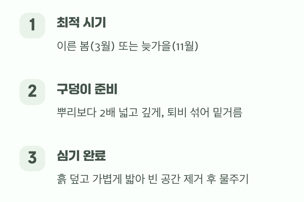 4. 성공적인 이사, 옮겨 심기