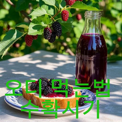 오디 먹는법 수확시기 주스·잼·청 만들기