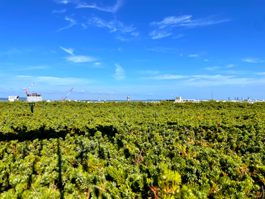 아크로스 후쿠오카 주변경관4