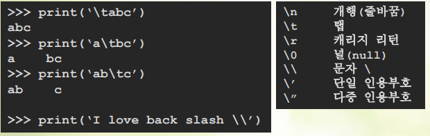 이스케이프 문자