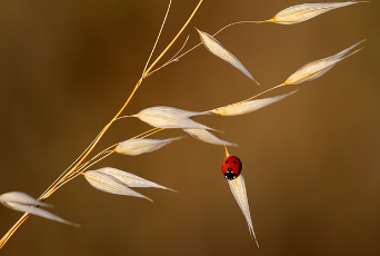 근로자 대상 정부지원 저금리 대출 5