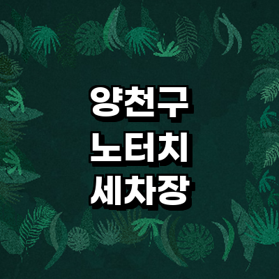 서울 양천구 노터치 세차