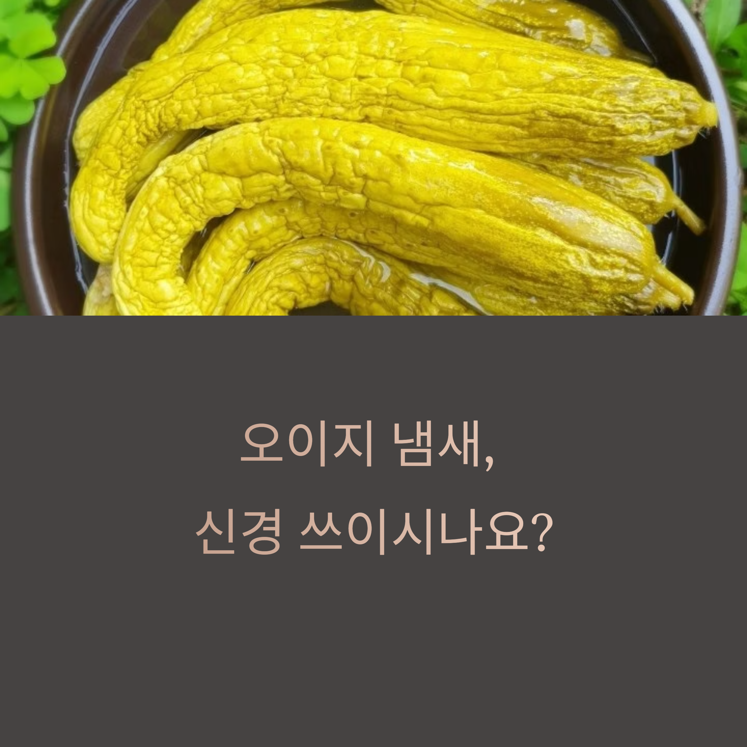 오이지 냄새 없애는 법? 장아찌 냄새 잡는 천연 재료 3가지
