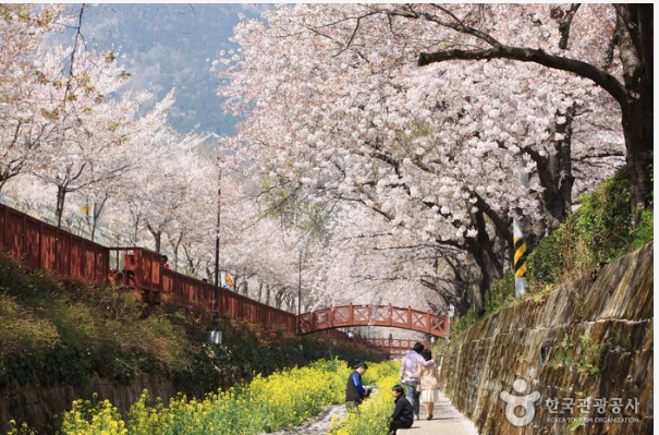 여좌천 찍은사진