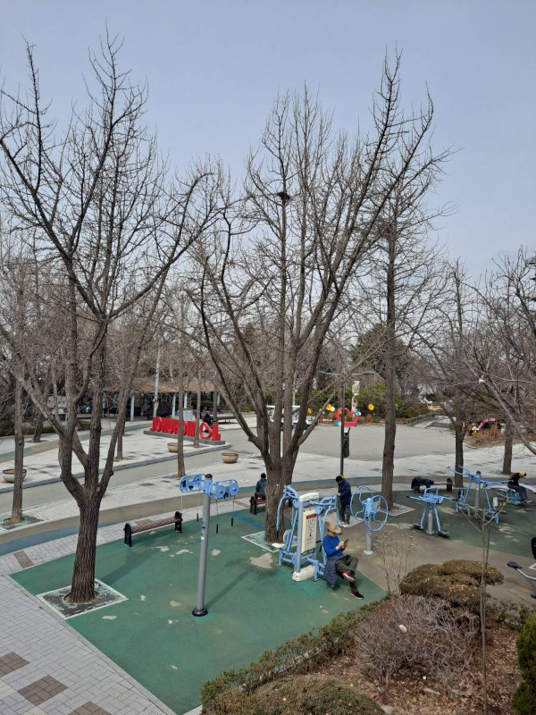 수봉공원 운동기구