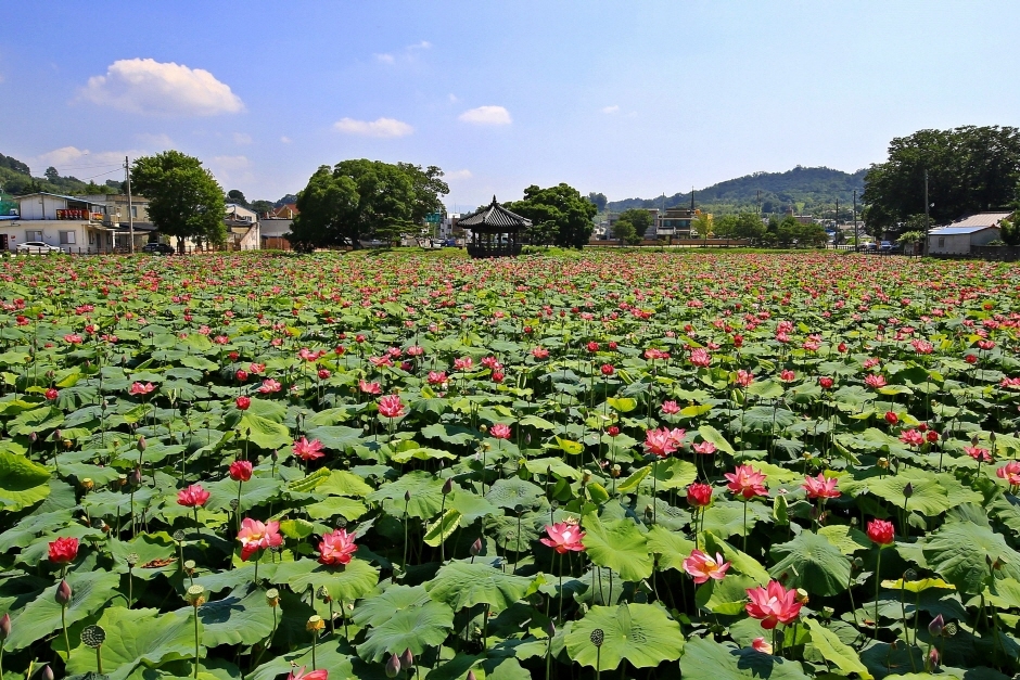 정읍 가볼만한곳 베스트10