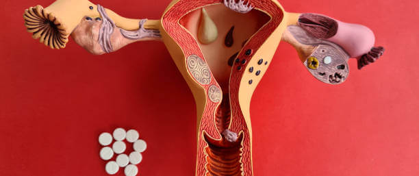 배란통 증상에는 여러가지 통증이 있는데 복부통증, 설사, 두통, 체온까지 변화합니다. 원인과 증상 완화할 수 있는 방법까지 알아봤습니다. 하지만 배란통이 너무 심하다면 병원 진료를 꼭 받아야겠지요? 참고하시기 바랍니다.