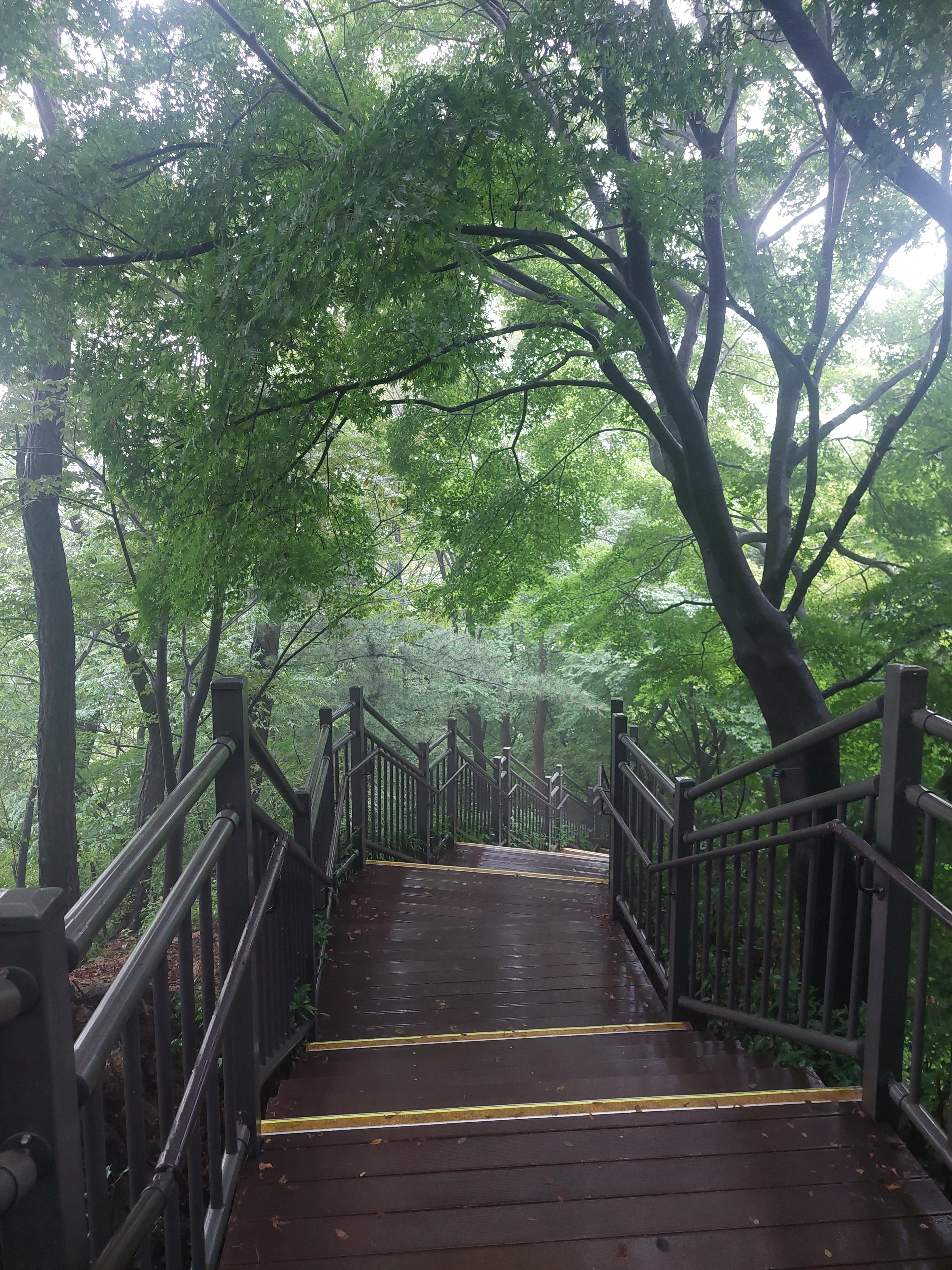 남산매봉산