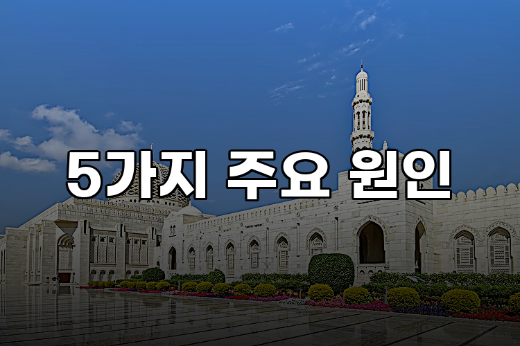 5가지 주요 원인