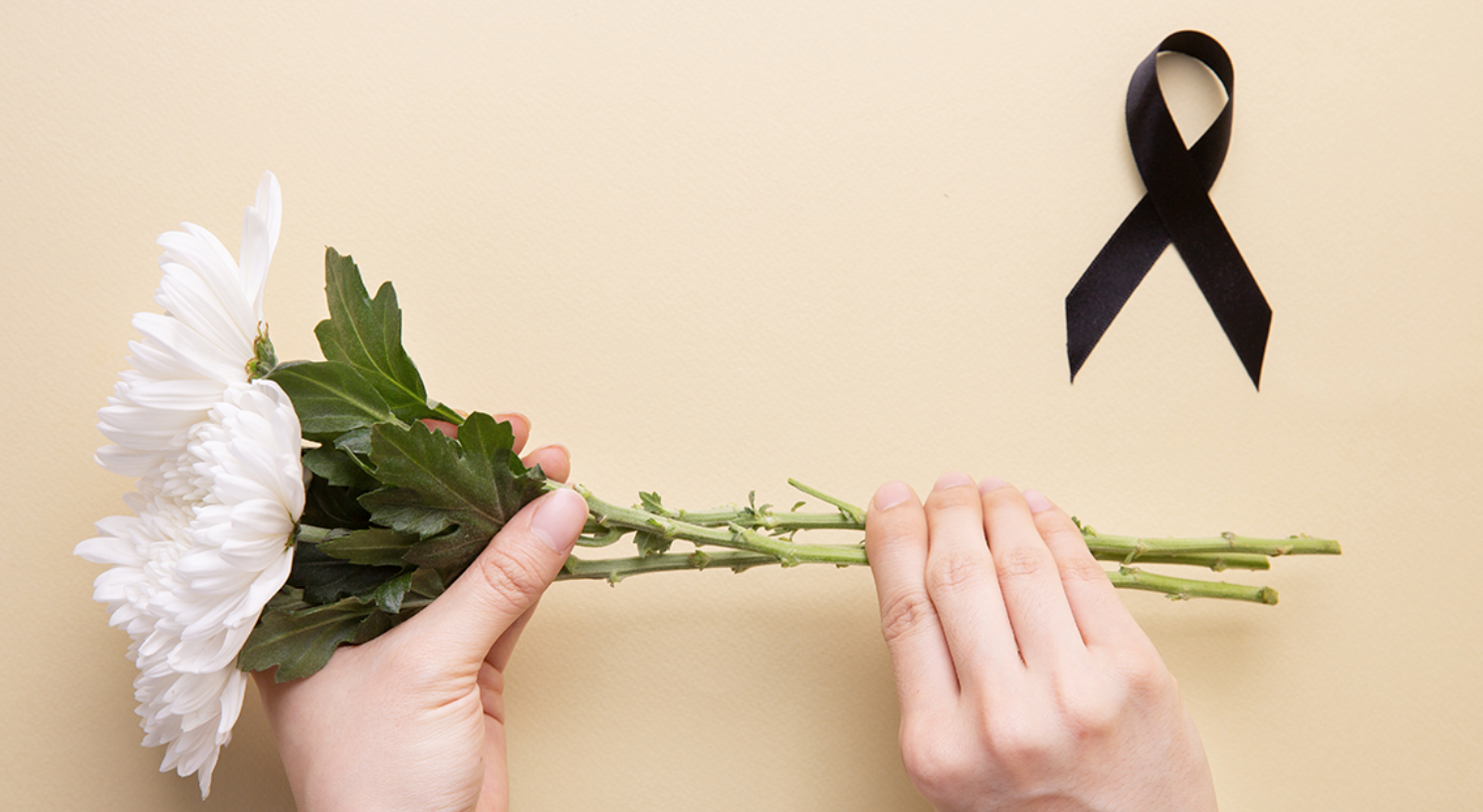 상조의 상징적 국화와 검은 리본 이미지