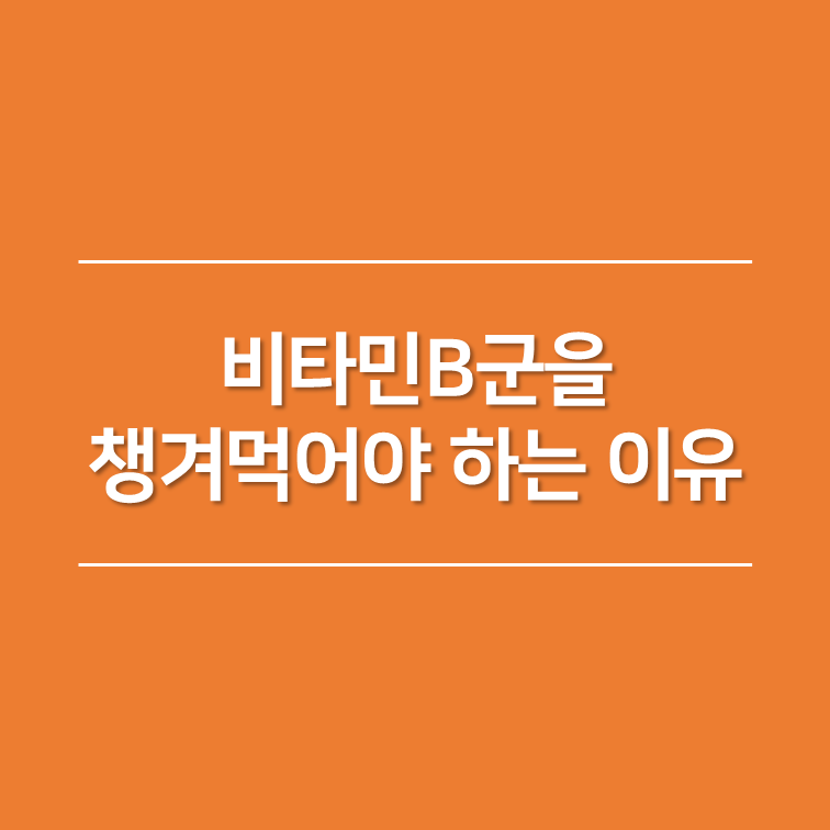 비타민B군을 챙겨먹어야 하는 이유