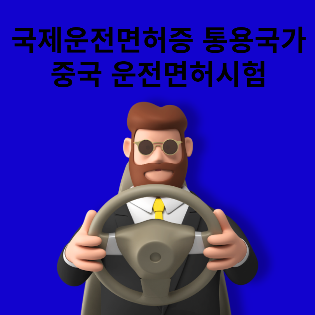 중국운전면허증취득가이드및 국제운전면허통용국가