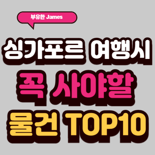싱가포르 여행 시 꼭 사야할 물건 선물 TOP10(2025년)
