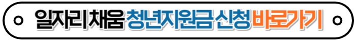 일자리채움청년지원금