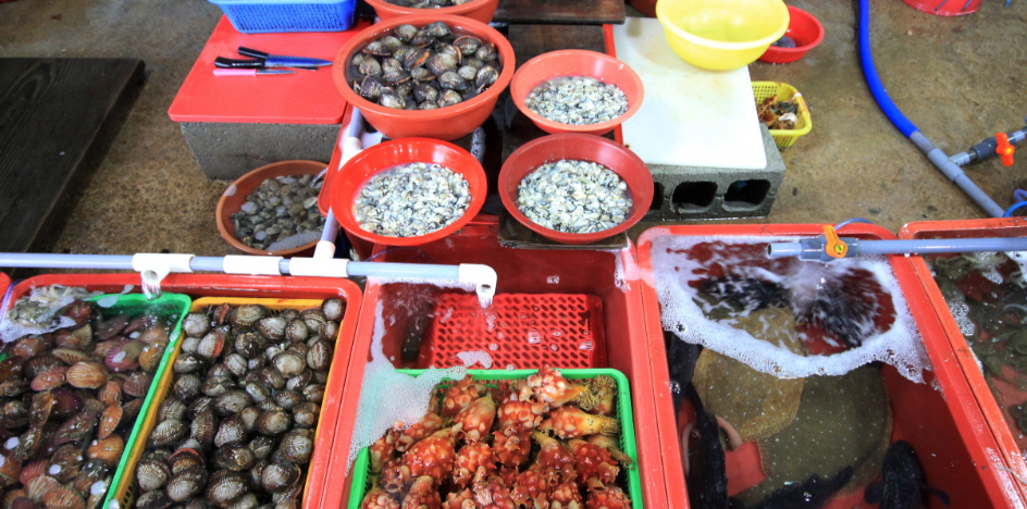 남당항 새조개 축제