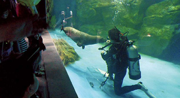 울진 아쿠아리움