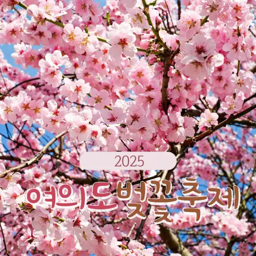 2025 여의도 벚꽃축제