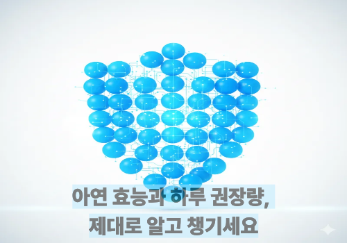 아연 효능과 하루 권장량, 제대로 알고 챙기세요