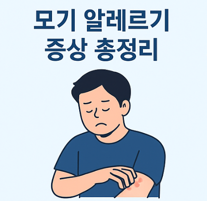 모기 알레르기 증상 이미지