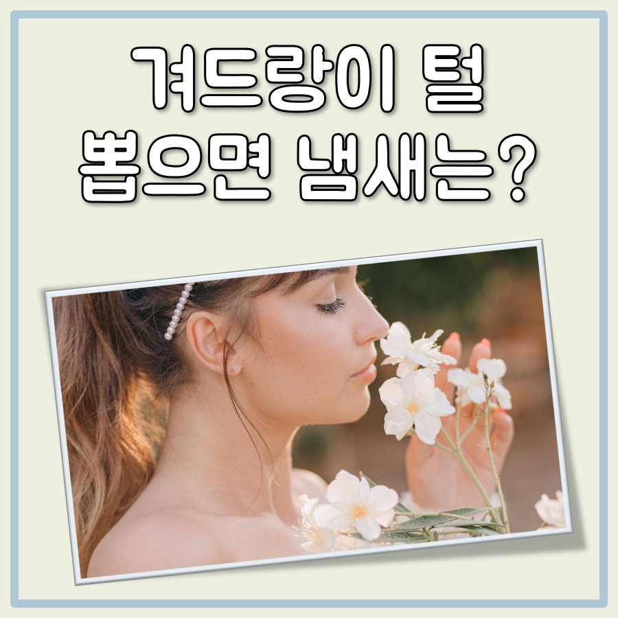 겨드랑이 털 뽑으면 냄새