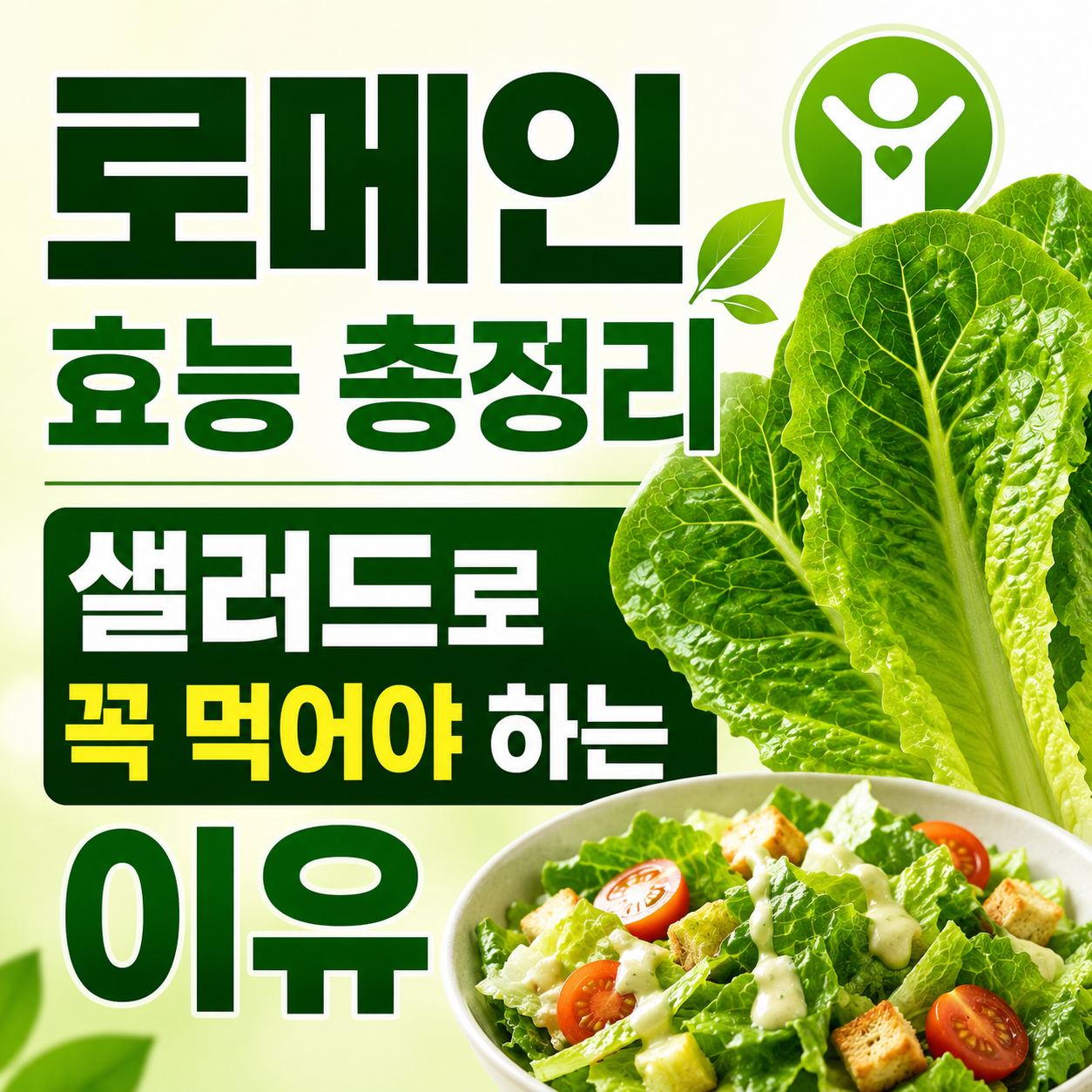 로메인 효능
