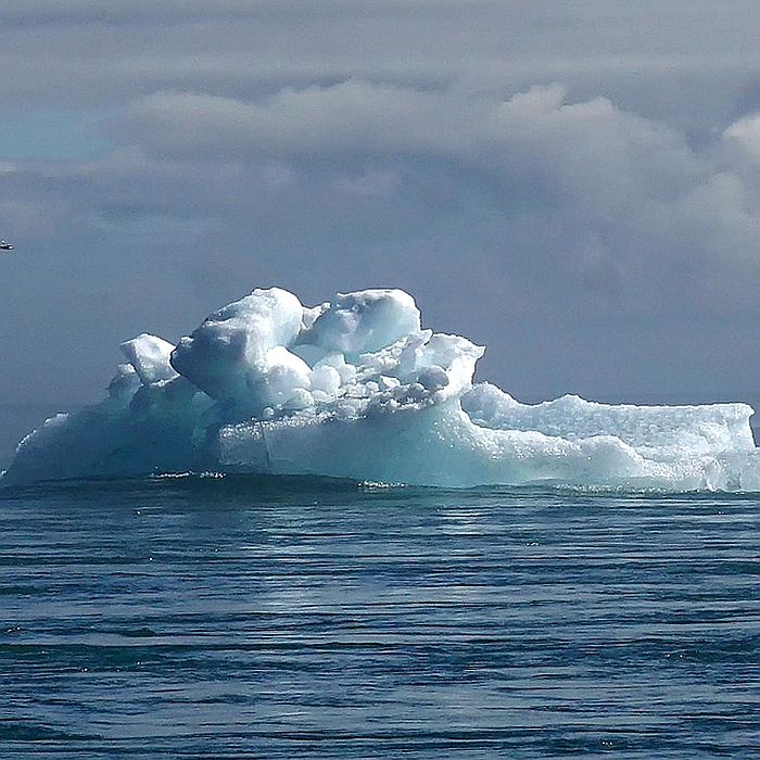 봄철 기온 변화