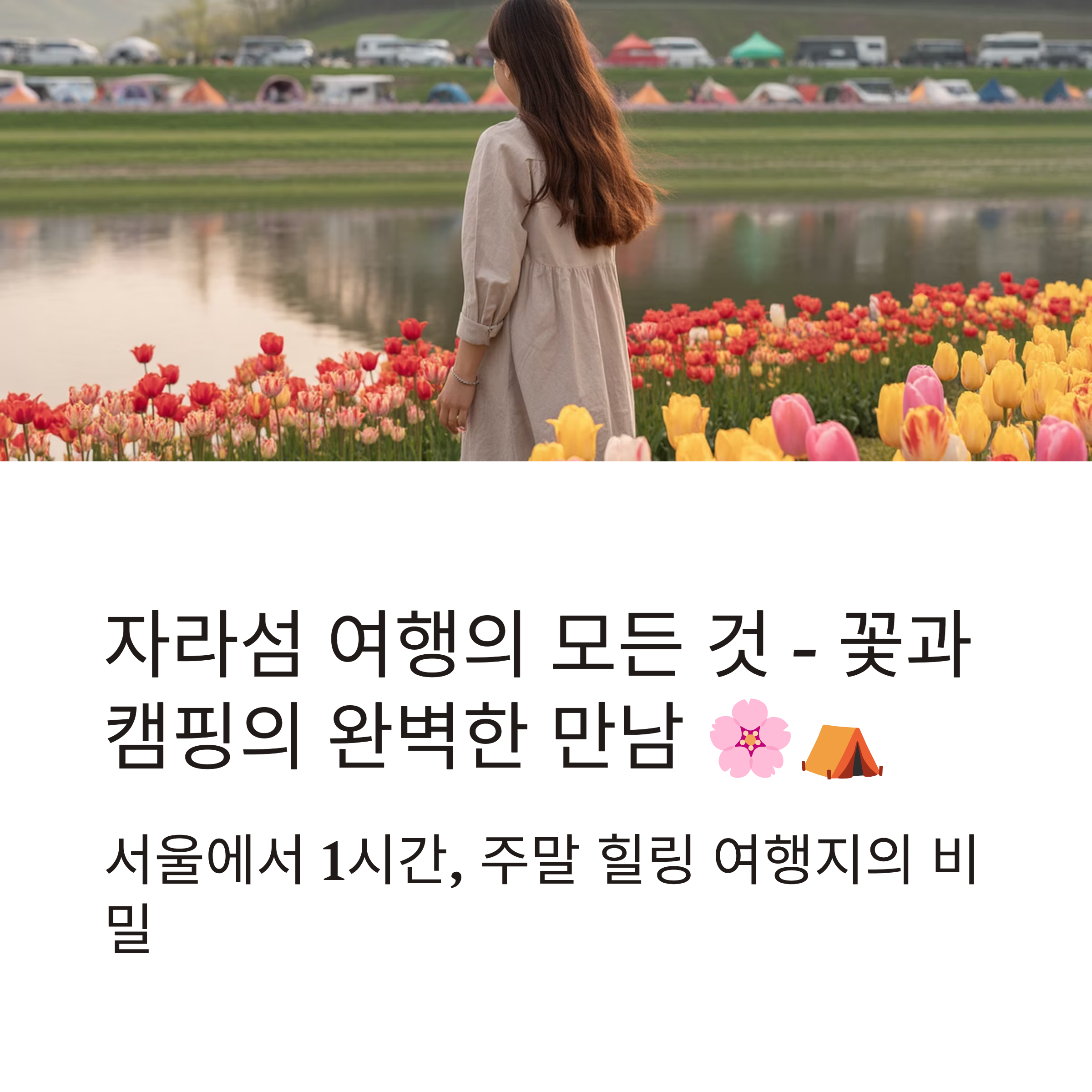 가평 자라섬 꽃축제와 캠핑, 자연 속 완벽한 하루 여행