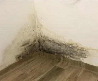 곰팡이 냄새 빨래통 환기와 햇빛 건조 베이킹소다 뿌리기_5