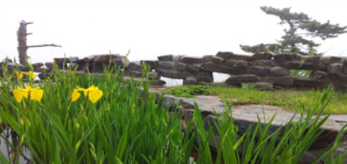 보령 죽도 상화원 예약, 숙소, 입장료