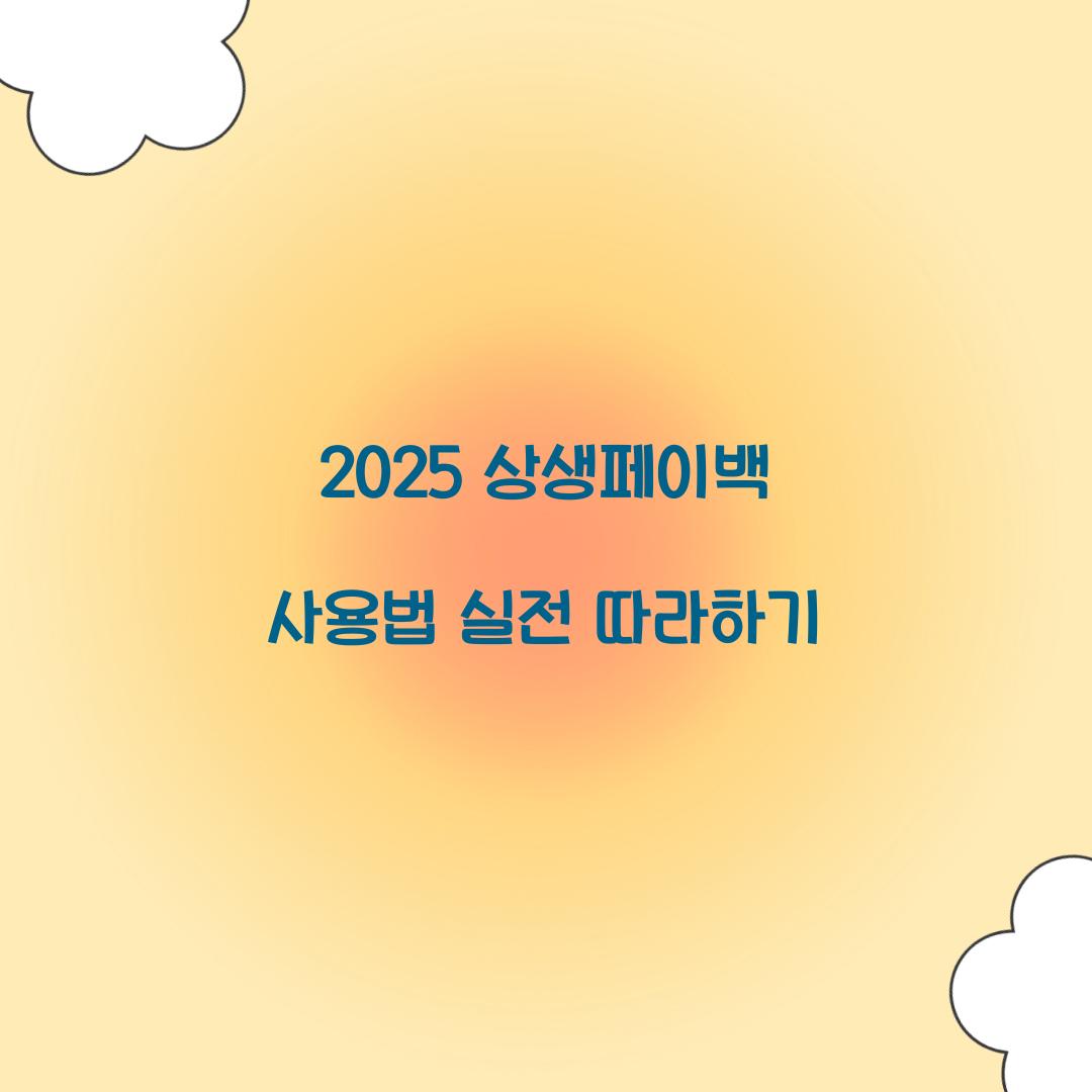 2025 상생페이백 사용법