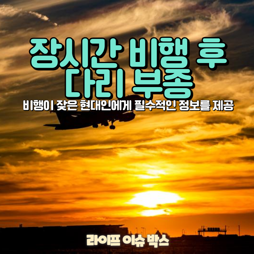 장시간 비행 후 다리가 붓고 아프다면?