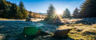 청년 내일저축계좌 자격조건