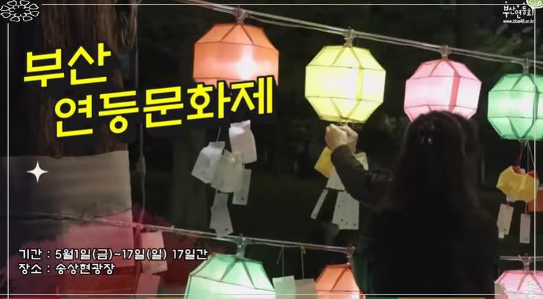 2026 부산 연등축제 완벽 정리: 인생샷 명소부터 체험 프로그램까지!