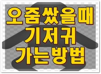 가는 똥 이유와 똥이 가늘게 나오는 이유 분석_13