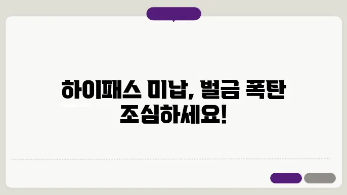 하이패스 미납요금