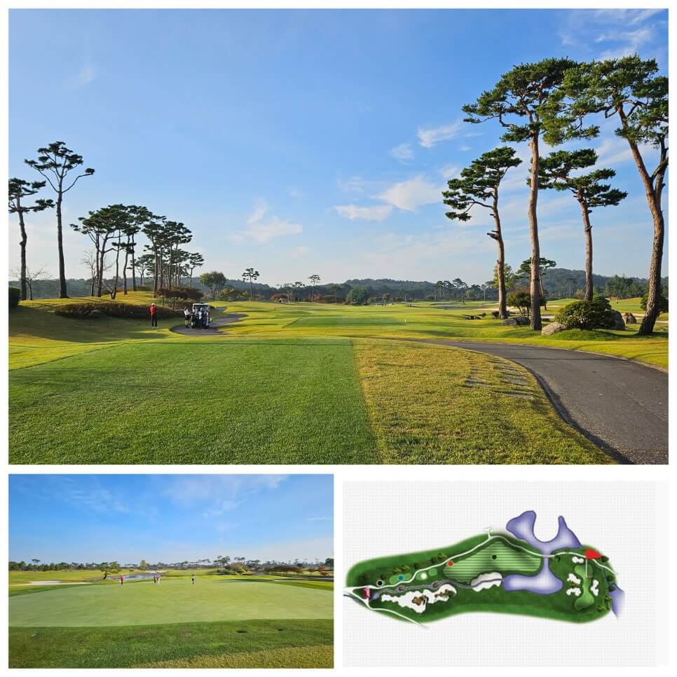 골프장 경험담 당진 파인스톤cc 대형 멋진 정원에서 환상의 골프 운동