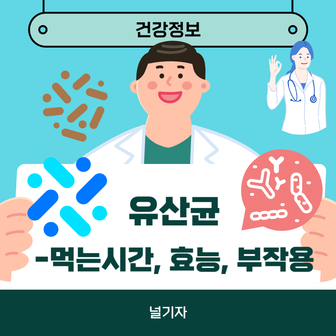 유산균 먹는시간 효능 부작용