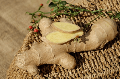 생강-효능
