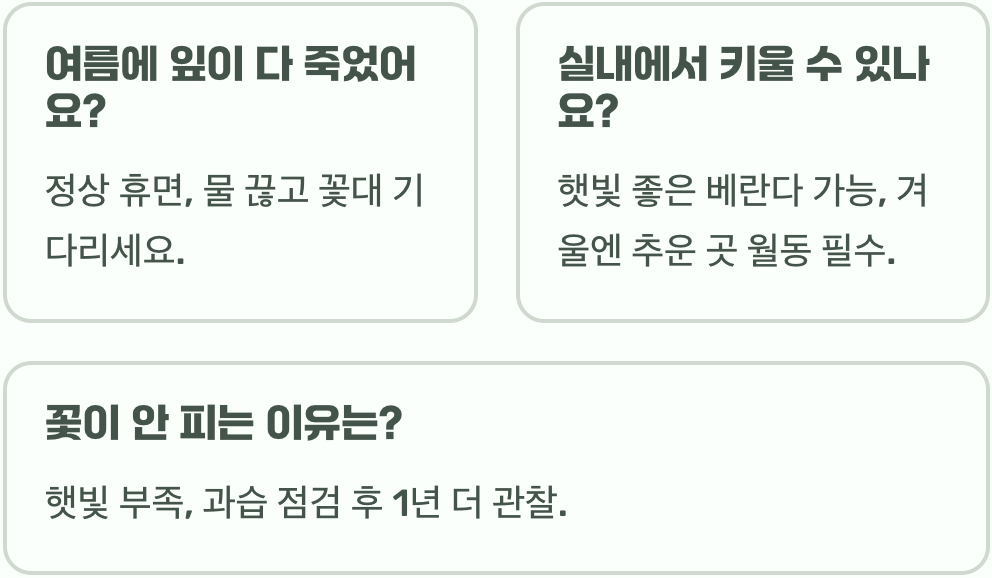 무릇꽃 키우기, 구근 심는 법부터 꽃 피우기까지 A to Z