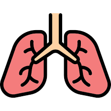 폐에 물이 차는 원인
