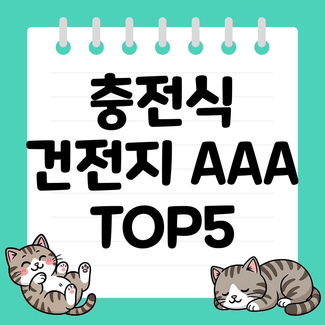 오래 쓰고 친환경적인 니켈수소 충전지 AAA 추천 순위 TOP5