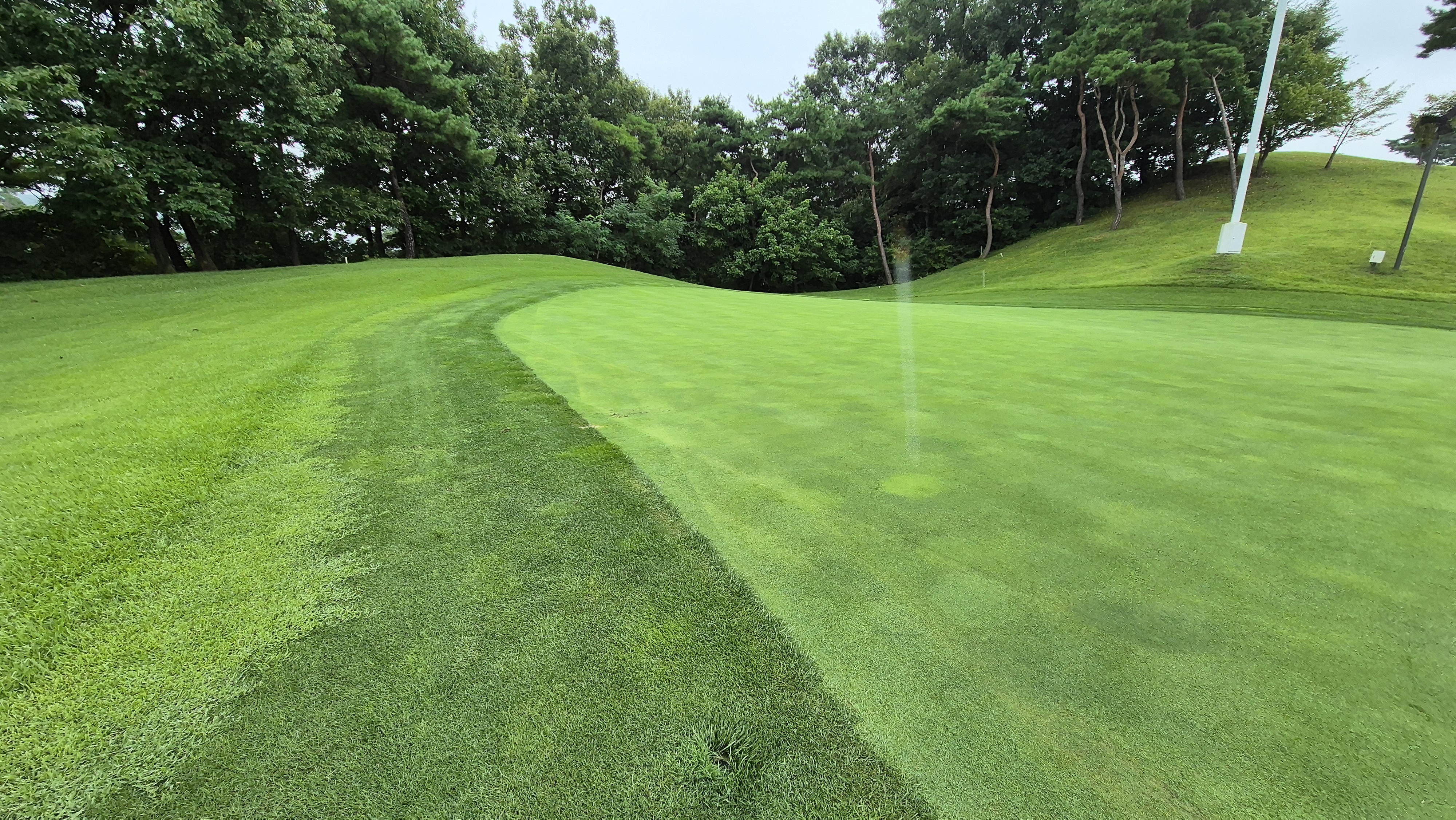 골프존카운티 진천