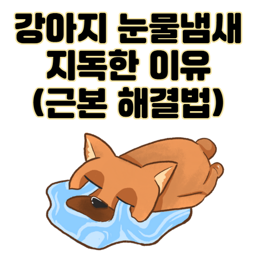 강아지 눈물냄새 지독한 이유와 근본적으로 없애는 법