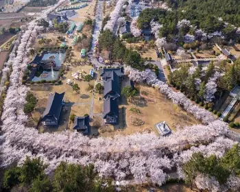 영암왕인문화축제_16