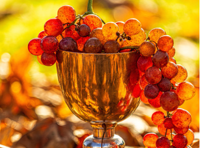 브런치카페 사진