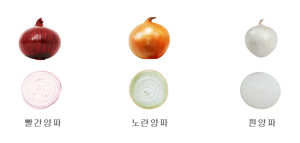 자색 양파즙
