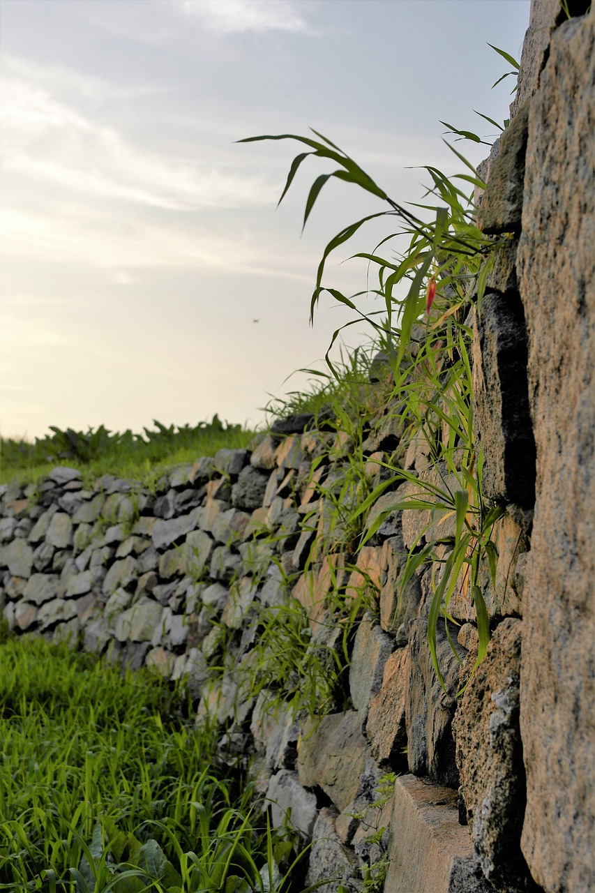 유적지 관련 사진