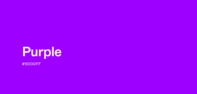 보라색(Purple) 계열의 색상 종류처럼 색과 아이템을 연결해 전체 착장을 정돈한 코디입니다.